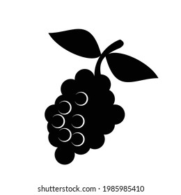 fruit icon symbol vector illustration