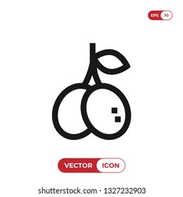 Fruit icon vector