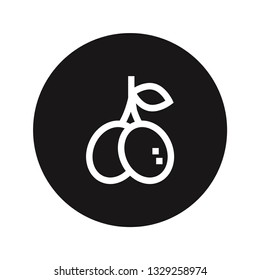 Fruit icon vector