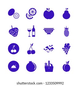 fruit icon. fruit vector icons set pear, apple, orange and kiwi