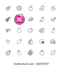 Fruit icon  vector illustration  set