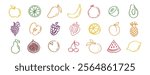 Fruit icons chalk hand drawn doodle set. Drawing crayon fruit. Vector illustration