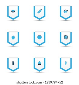 Fruit icons colored set with fruit, bell pepper, zucchini and other bulgarian pepper elements. Isolated vector illustration fruit icons.