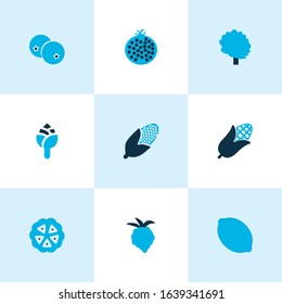 Fruit icons colored set with citrus, tree, raspberry and other maize elements. Isolated vector illustration fruit icons.
