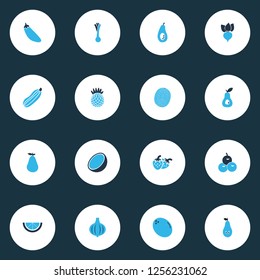 Fruit icons colored set with lime, coco, turnip and other freshness elements. Isolated vector illustration fruit icons.