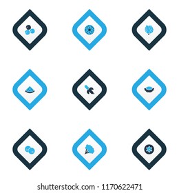 Fruit icons colored set with melon, fig, brussels sprouts and other brussels cabbage elements. Isolated vector illustration fruit icons.