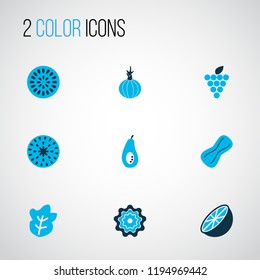 Fruit icons colored set with onion, fig, orange and other grapefruit elements. Isolated vector illustration fruit icons.
