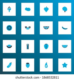 Fruit icons colored set with potato, peas, artichoke and other grapes elements. Isolated vector illustration fruit icons.