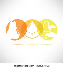 fruit icons, fresh summer fruit in round buttons