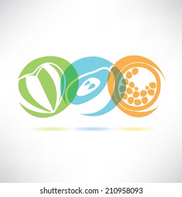 fruit icons, fresh summer fruit in round buttons