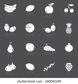 Fruit Icons- Illustration