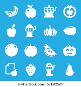 Fruit icons set. set of 16 fruit filled icons such as orange, pear, apple, banana, Slot machine, Lemon, pumpkin, paper and apple, tomato, pumpkin haloween, watermelon