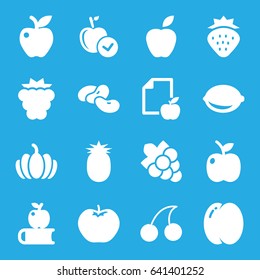 Fruit icons set. set of 16 fruit filled icons such as strawberry, peach, mulberry, apple, bean, cherry, grape, pumpkin, paper and apple, lemon, pineapple
