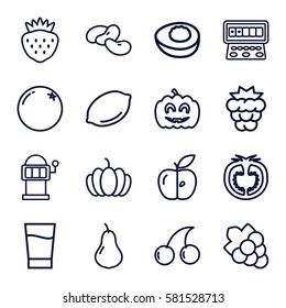 fruit icons set. Set of 16 fruit outline icons such as orange, pear, mulberry, bean, lemon, Cherry, Grape, Slot machine, strawberry, pumpkin, apple, tomato, pumpkin haloween