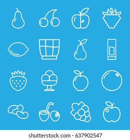 Fruit icons set. set of 16 fruit outline icons such as orange, apple, pear, bean, cherry, grape, strawberry, raspberry, lemon, drink, ice cream