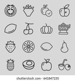 Fruit icons set. set of 16 fruit outline icons such as strawberry, pear, cherry, lemon, apple, slot machine, raspberry, pumpkin, tomato, avocado, drink coconut