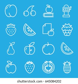 Fruit icons set. set of 16 fruit outline icons such as peach, apple, mulberry, cherry, pear, strawberry, paper and apple, tomato, watermelon, pineapple, apple on book