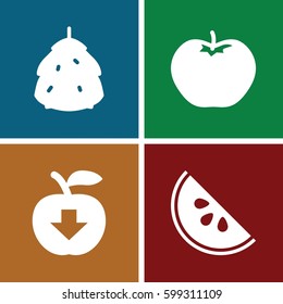 fruit icons set. Set of 4 fruit filled icons such as berry, apple, watermelon