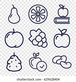 Fruit icons set. set of 9 fruit outline icons such as berry, pear, apple, bean, grape, lemon