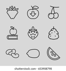Fruit icons set. set of 9 fruit outline icons such as berry, cherry, bean, lemon, raspberry, strawberry, watermelon, apple on book