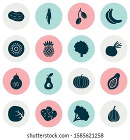 Fruit icons set with beet, potato, guacamole and other parsnip elements. Isolated vector illustration fruit icons.