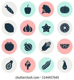 Fruit icons set with bell pepper, root vegetable, pumpkin and other ketchup elements. Isolated vector illustration fruit icons.