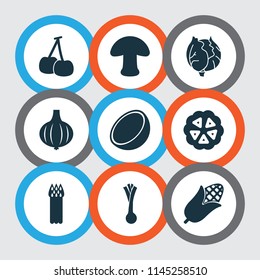 Fruit icons set with bulb, cauliflower, mushroom and other onion elements. Isolated vector illustration fruit icons.
