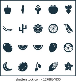 Fruit icons set with cantaloupe, virgin, coconut and other corn elements. Isolated vector illustration fruit icons.