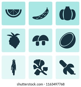 Fruit icons set with gourd, raspberry, acorn and other coco elements. Isolated vector illustration fruit icons.