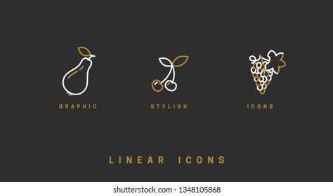 Fruit icons set in linear style. Vector illustration.