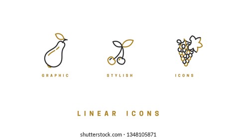 Fruit icons set in linear style. Vector illustration.
