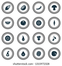 Fruit icons set with mangosteen, dad, kiwi and other champignon elements. Isolated vector illustration fruit icons.