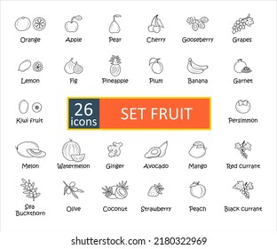 Fruit icons set with names. Simple concise images of fruits with names. Collection of icons in outlines.  Watermelon, strawberry, cocoa, mango, pomegranate, avocado, kiwi and others. Vector, eps