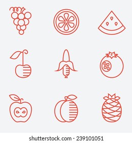 Fruit icons, thin line style, flat design