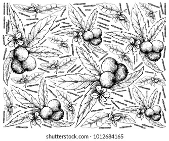 Fruit, Illustration Background of Hand Drawn Sketch of Fresh Muntingia Calabura With Green Leaves and Flower.