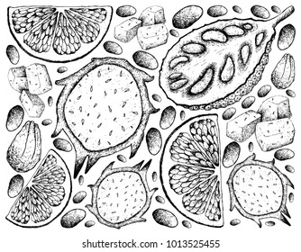 Fruit, Illustration Background of Hand Drawn Sketch of Ripe and Sweet Dragon Fruit or Pitaya, Jackfruit and Grapefruit.