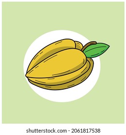 Fruit illustration, cocoa simple vector