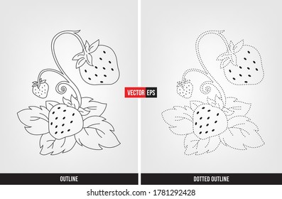 Fruit illustration color and trace, tracing worksheet for preschool and kindergarten vector