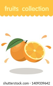 Fruit illustration. Flat style icon. Orange vector cartoon design, EPS 10 editable vector.