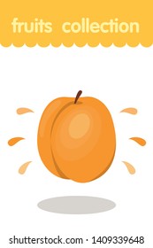 Fruit illustration. Flat style icon. Apricot vector cartoon design, EPS 10 editable vector.