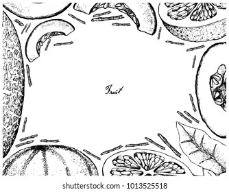 Fruit, Illustration Frame of Hand Drawn Sketch of Grapefruit and Cantaloupe or Muskmelon Isolated on White Background.
