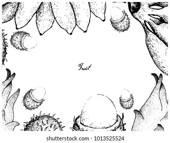 Fruit, Illustration Frame of Hand Drawn Sketch of Fresh Red Rambutans Pisang Mas Banana and Dragonfruit Isolated on White Background.