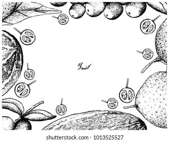 Fruit, Illustration Hand Drawn Sketch of Thai Muskmelon or Thai Cantaloupe, Grapefruit and Camu Camu Isolated on White Background.
