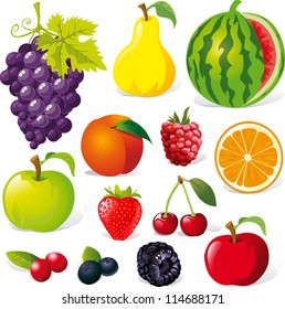 fruit illustration isolated on white background