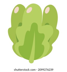 fruit illustration
isolated on a white background