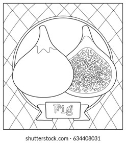 fruit illustration for kids coloring book