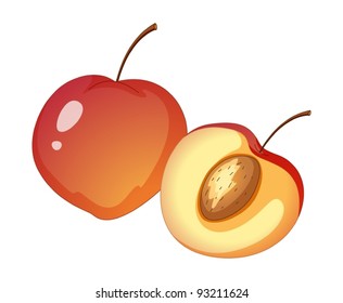 Ilustración de frutas sobre fondo blanco