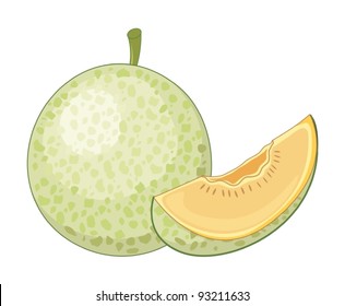 Fruit illustration on white background
