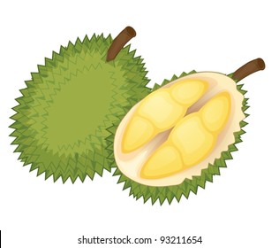 Fruit illustration on white background
