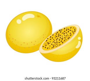 Ilustración de frutas sobre fondo blanco